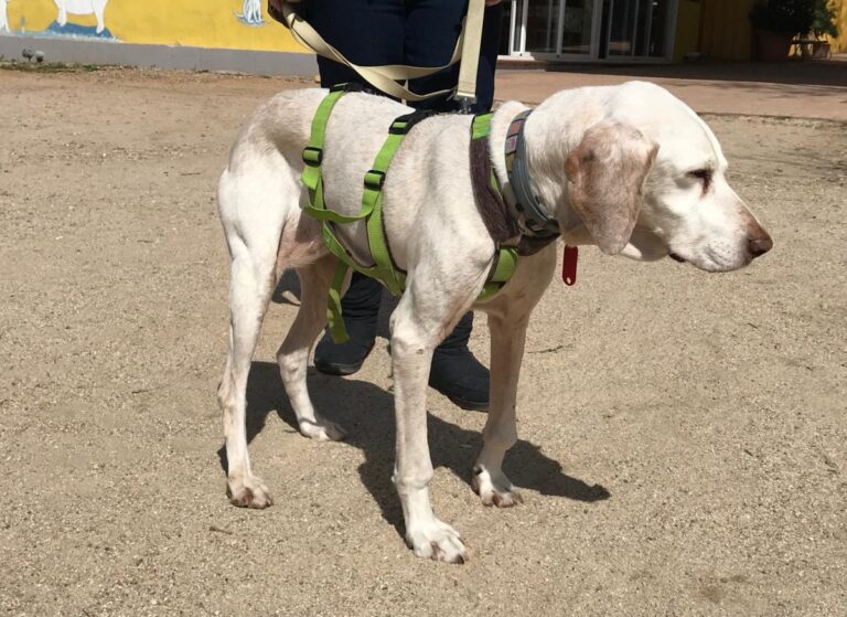 multimedia-foto48620-434-1