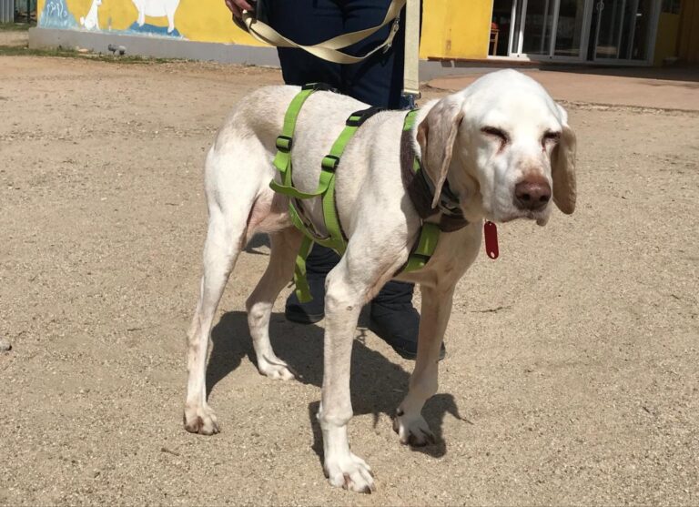 multimedia-foto48621-434-1