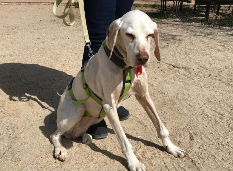 multimedia-foto48622-434-1