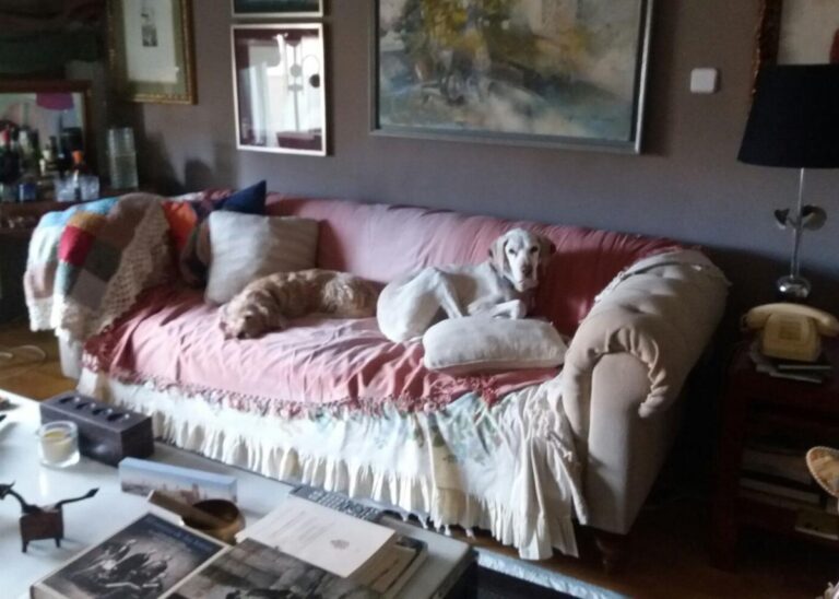 multimedia-foto48623-435-1