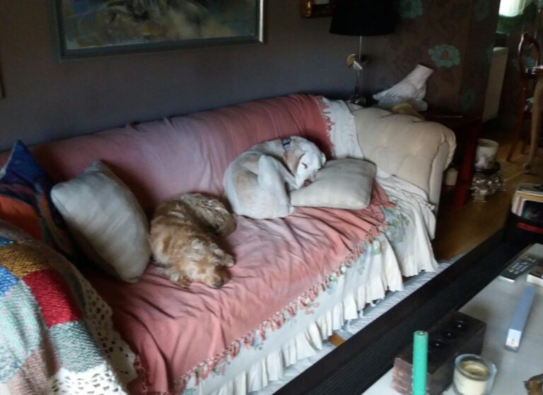 multimedia-foto48624-435-1