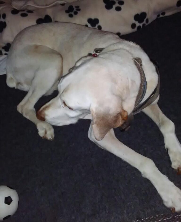 multimedia-foto48625-435-1