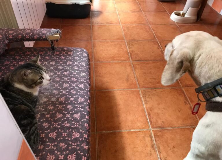 multimedia-foto48626-435-1