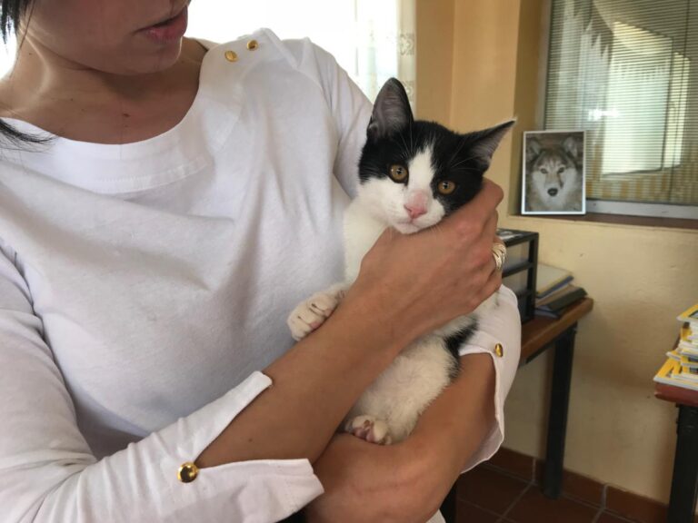 multimedia-foto48676-531-1