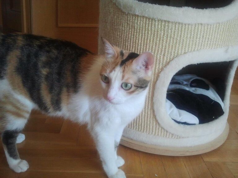 multimedia-foto48751-848-1