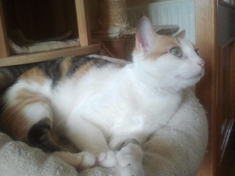 multimedia-foto48752-848-1