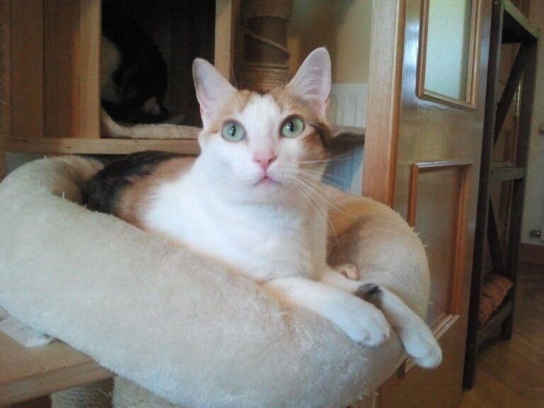 multimedia-foto48753-849-1