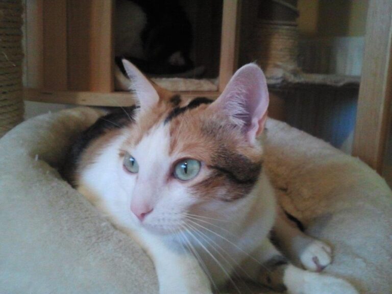 multimedia-foto48754-849-1