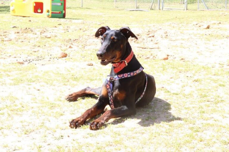 multimedia-foto48755-897-1