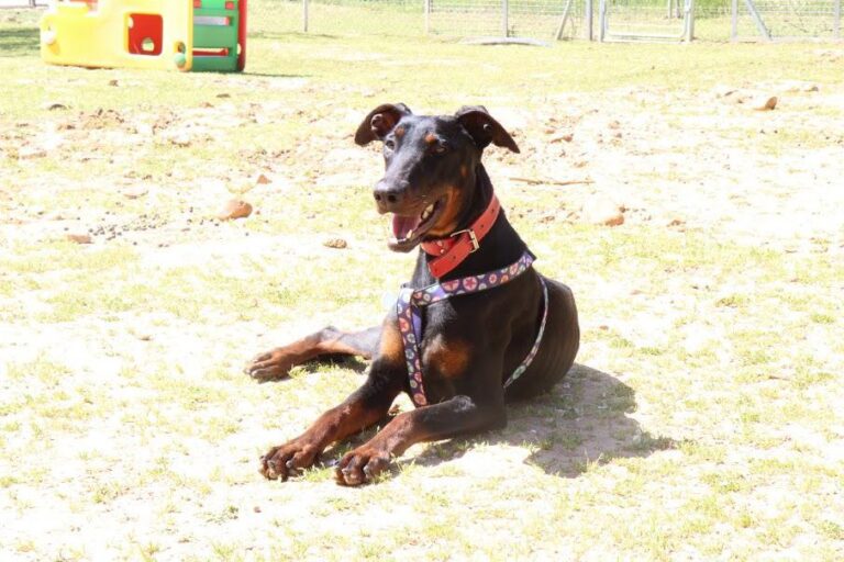 multimedia-foto48756-897-1