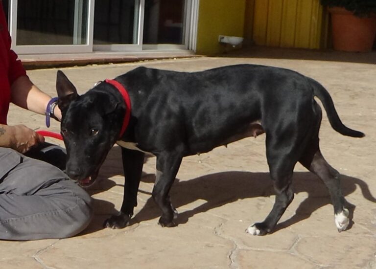 multimedia-foto48785-495-1