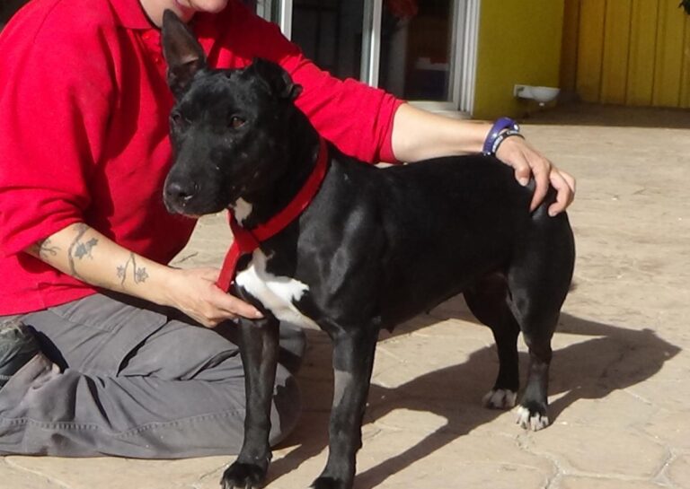 multimedia-foto48786-496-1