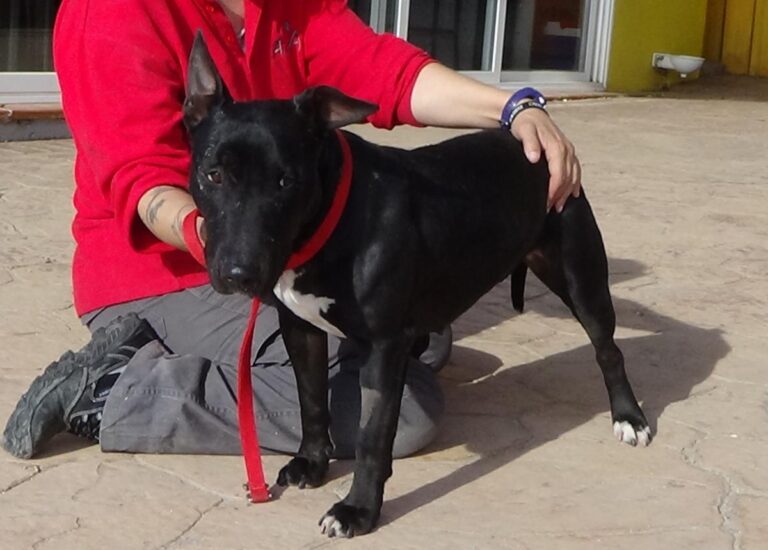 multimedia-foto48787-496-1