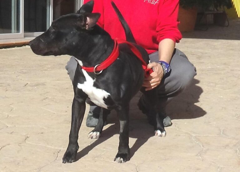 multimedia-foto48789-496-1