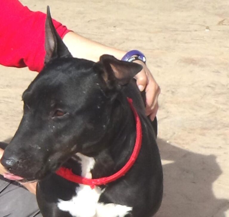 multimedia-foto48790-497-1