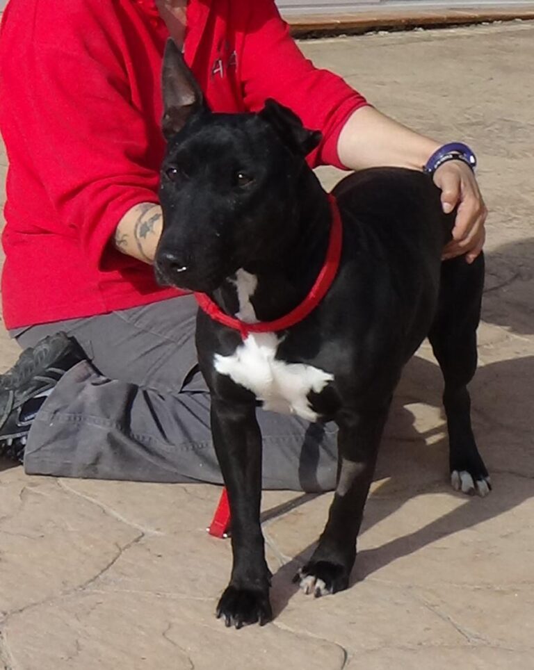 multimedia-foto48791-497-1