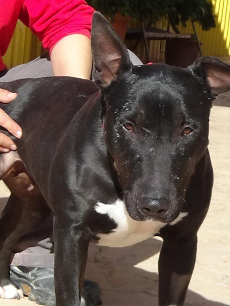 multimedia-foto48792-508-1