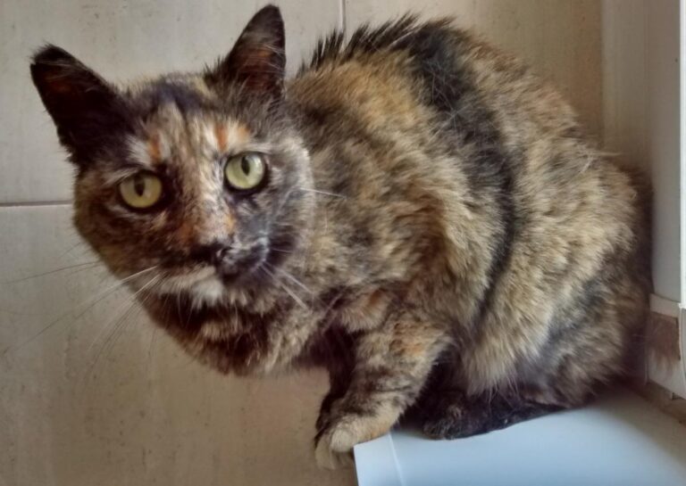 multimedia-foto48795-679-1