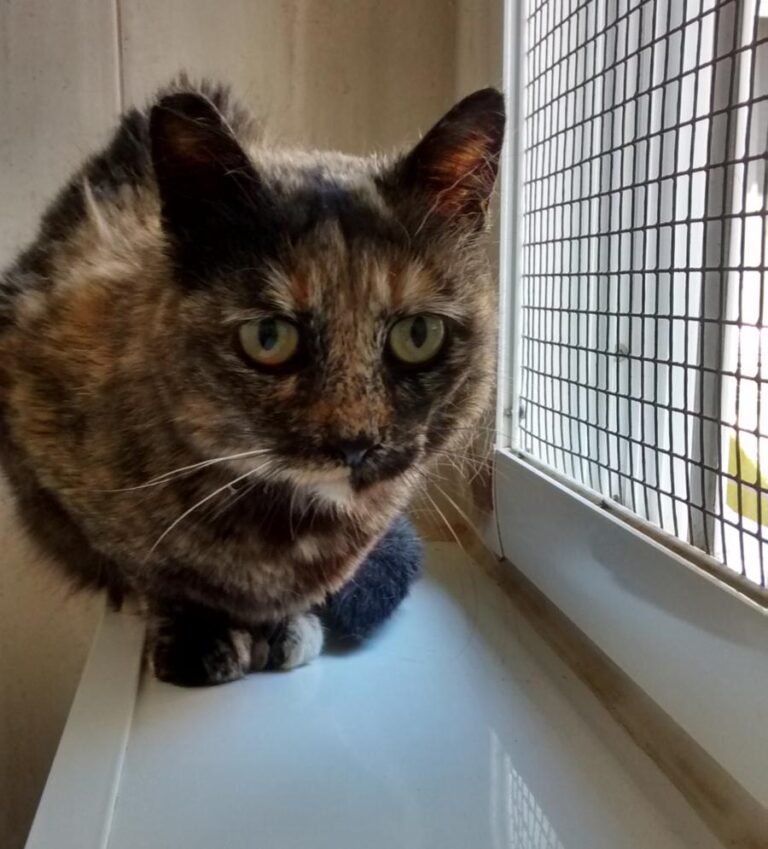 multimedia-foto48796-679-1