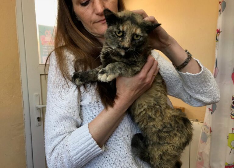 multimedia-foto48797-679-1