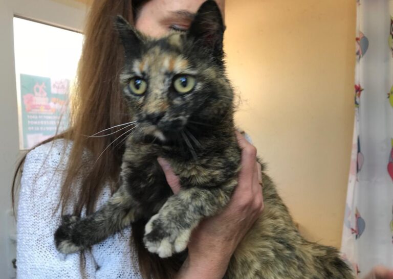 multimedia-foto48798-680-1