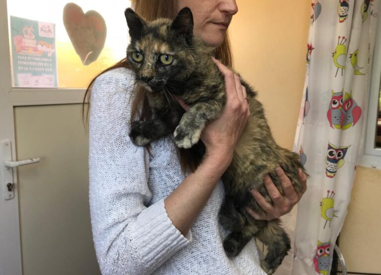 multimedia-foto48799-680-1