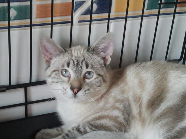 multimedia-foto48804-867-1