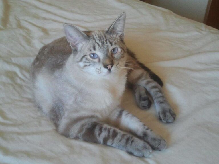 multimedia-foto48805-867-1