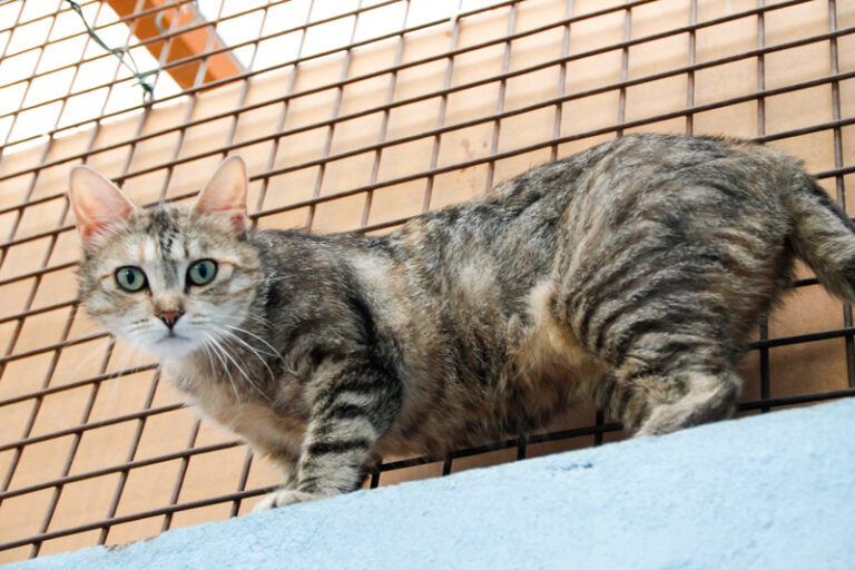 multimedia-foto48902-793-1