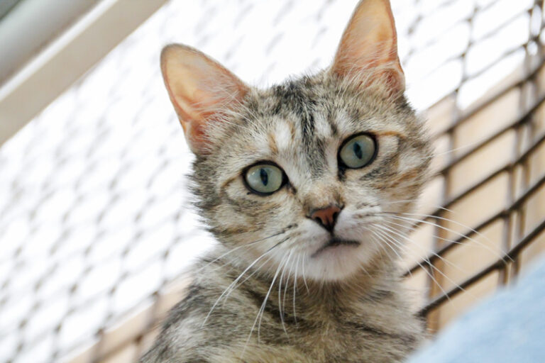 multimedia-foto48903-793-1