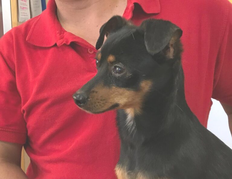 multimedia-foto48909-703-1