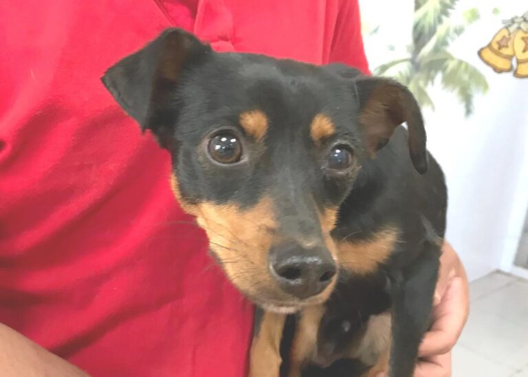 multimedia-foto48910-703-1