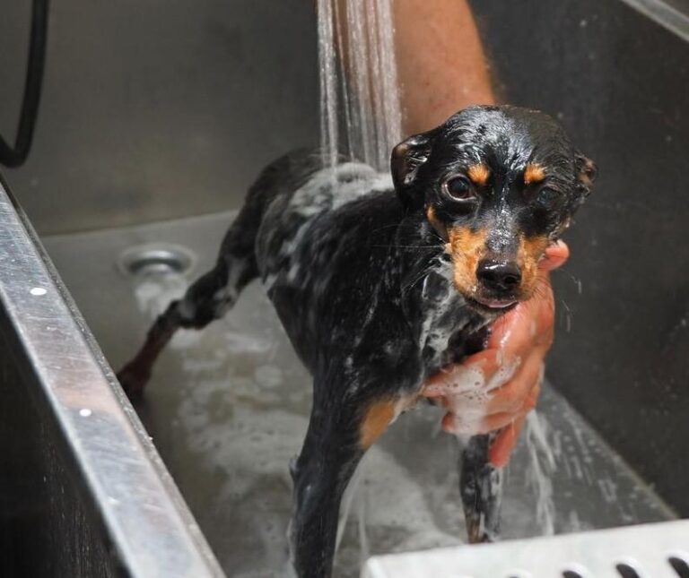 multimedia-foto48916-470-1