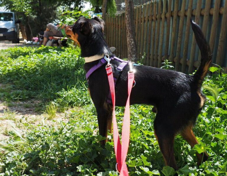 multimedia-foto48917-470-1