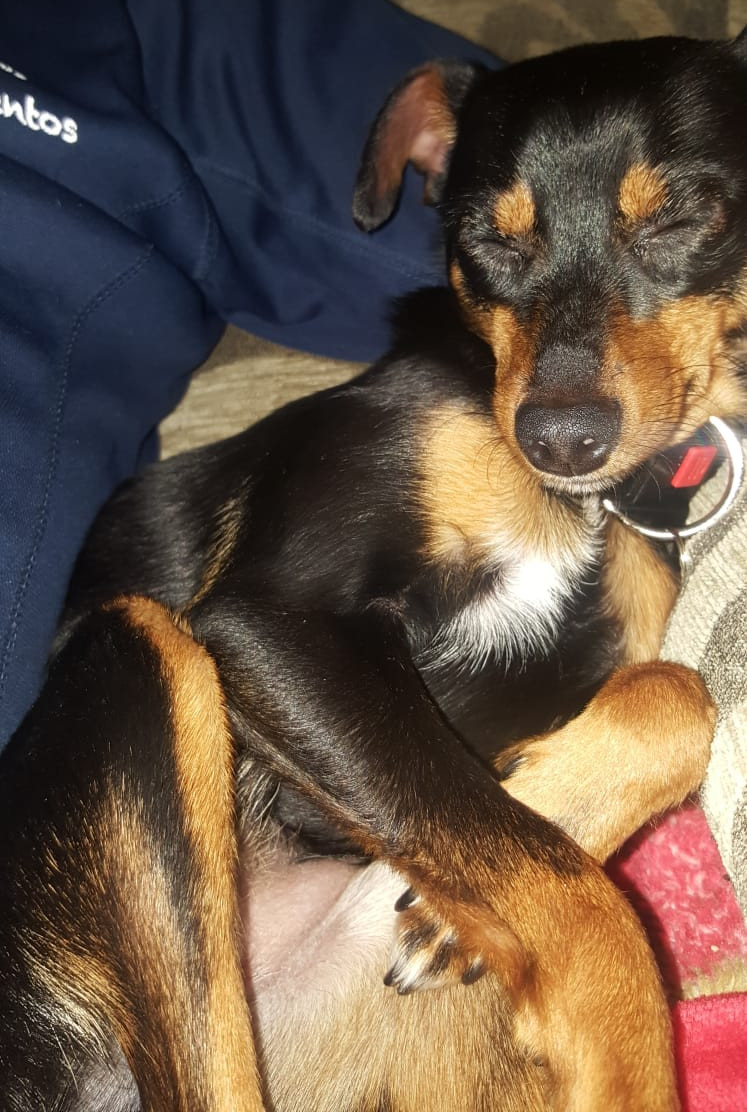 multimedia-foto48930-634-1