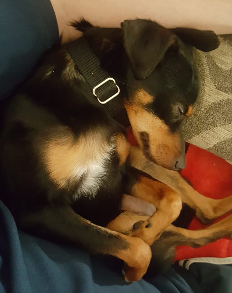 multimedia-foto48931-635-1