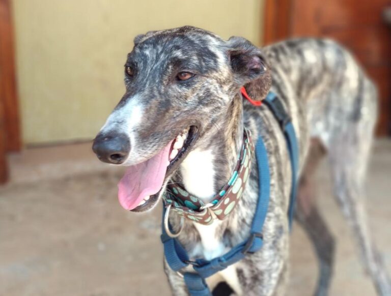 multimedia-foto48932-396-1