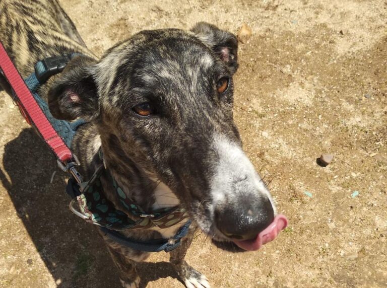 multimedia-foto48933-396-1