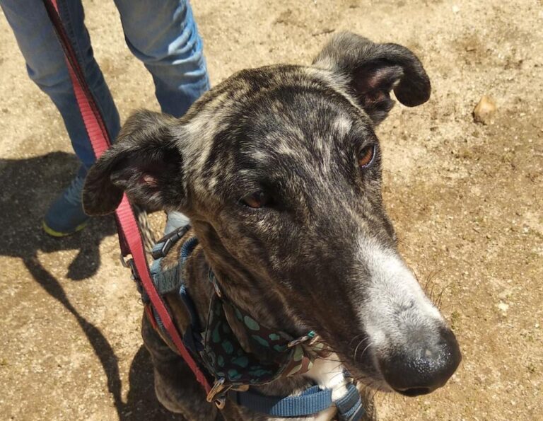 multimedia-foto48934-396-1