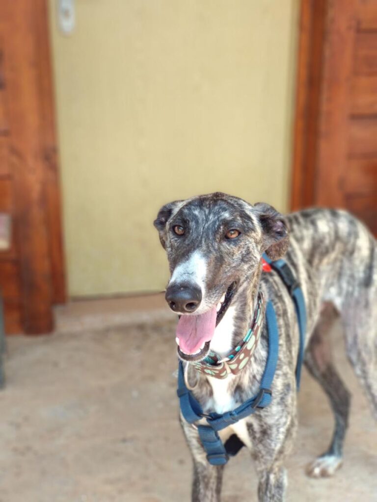 multimedia-foto48935-397-1