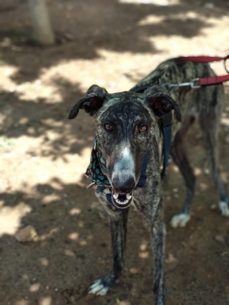 multimedia-foto48937-397-1