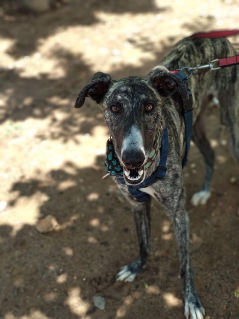 multimedia-foto48938-398-1