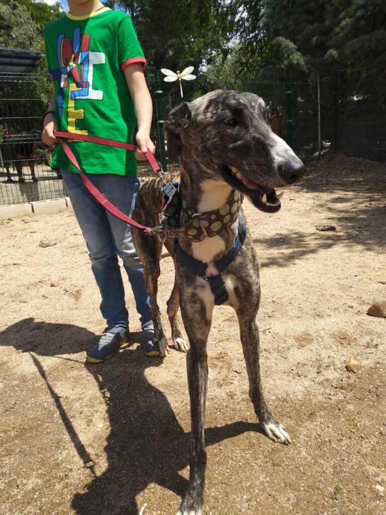 multimedia-foto48939-417-1