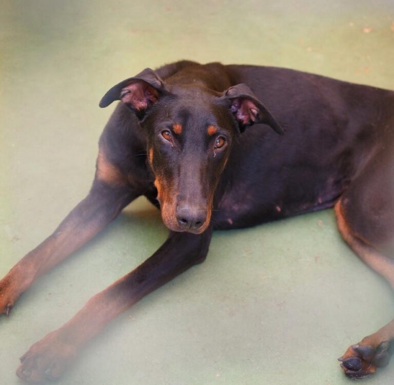 multimedia-foto48944-482-1