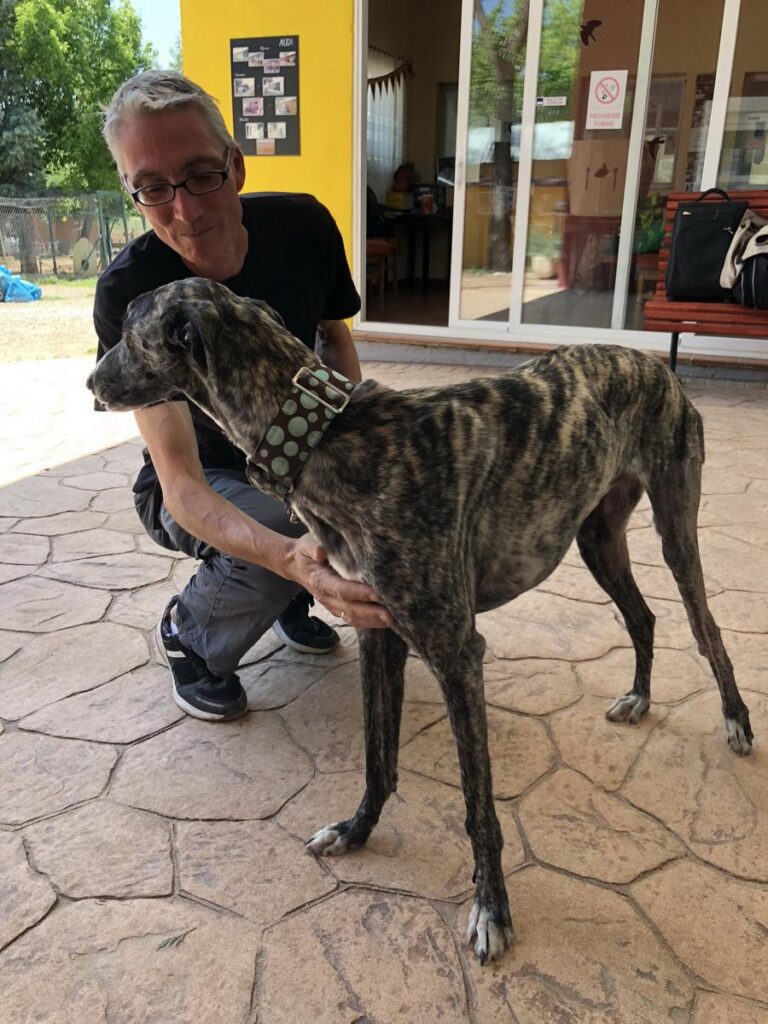 multimedia-foto48973-231-1