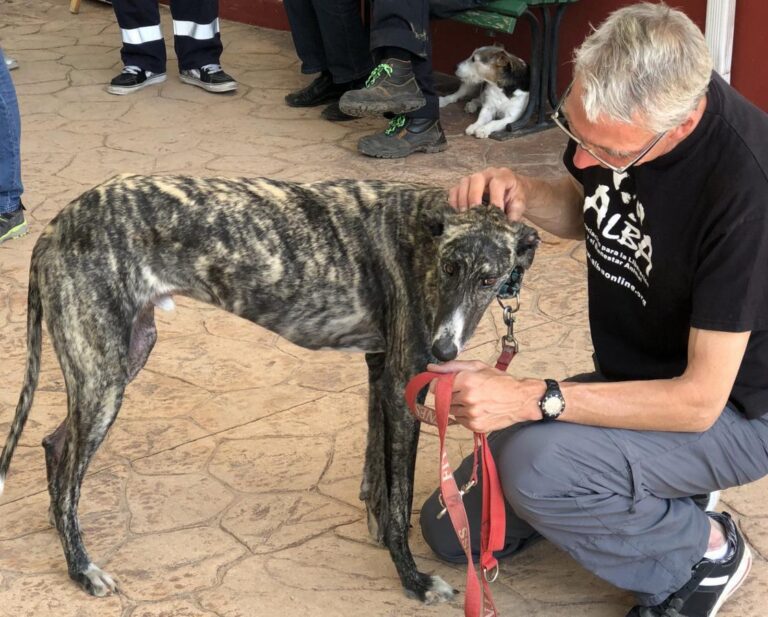 multimedia-foto48975-232-1