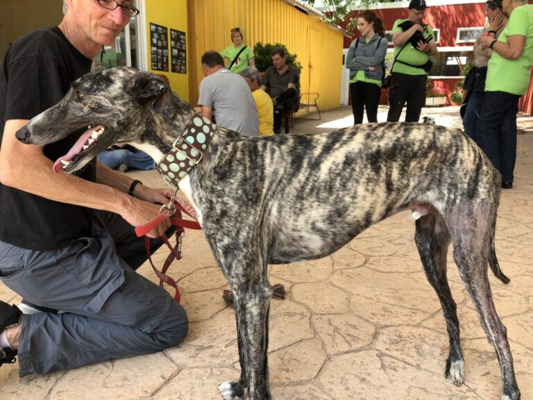 multimedia-foto48976-232-1