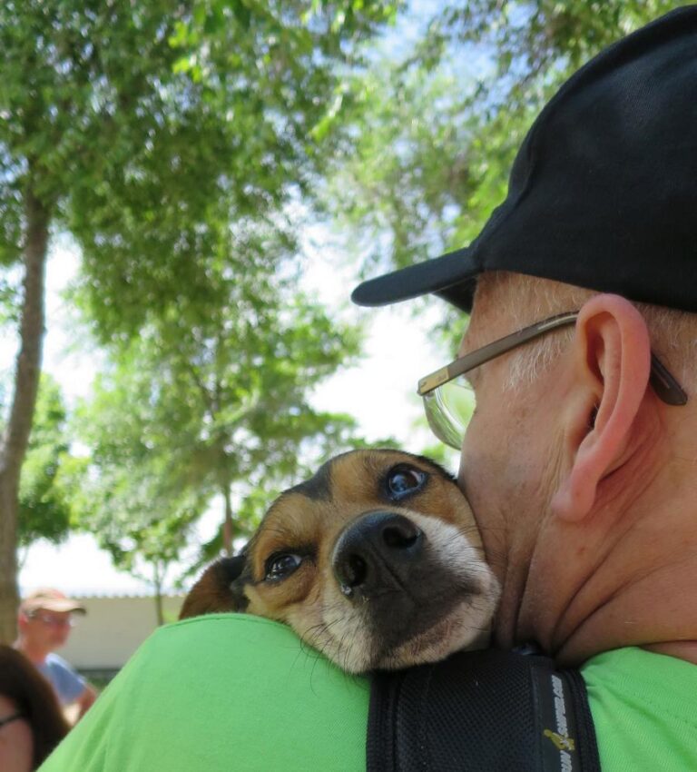 multimedia-foto48981-324-1