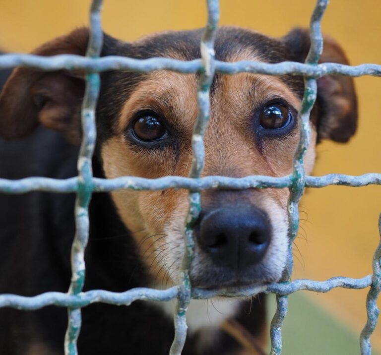 multimedia-foto48982-324-1