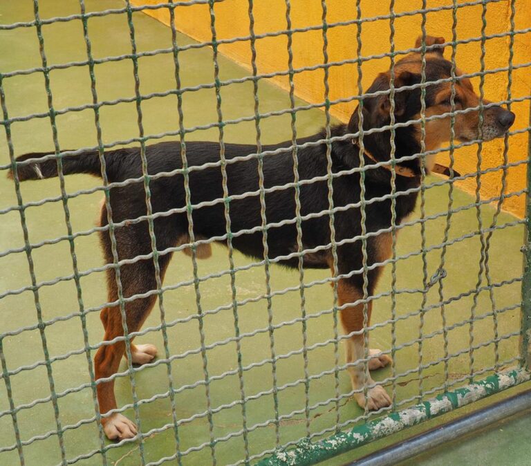 multimedia-foto48983-325-1